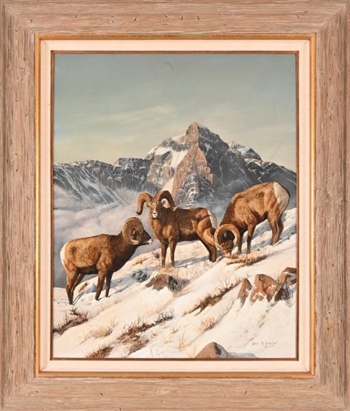 Gary R. Swanson Oil Painting of Rams