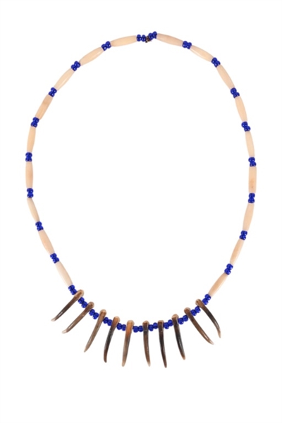 Indian Claw & Bone Hair Pipe Necklace