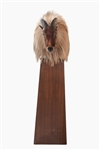 Himalayan Tahr Taxidermy Mount