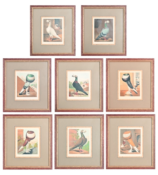 Cassells Pigeon Book Framed Chromolithographs