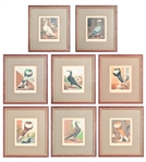 Cassells Pigeon Book Framed Chromolithographs