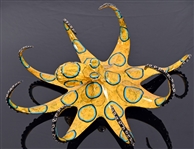 Chris Barela "Creeper" Octopus Bronze Sculpture